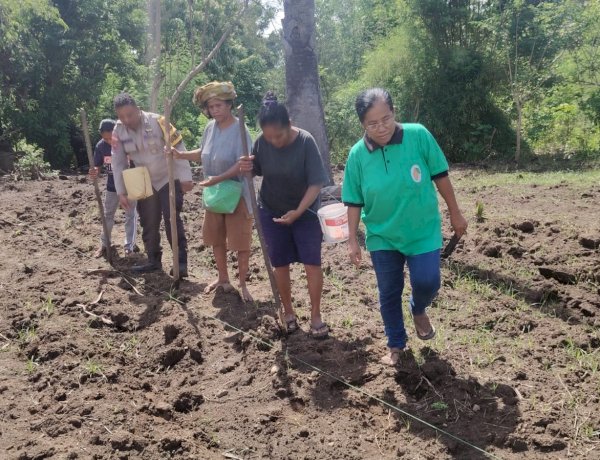 Dari Mako ke Lahan: Bhabinkamtibmas Desa Langir Buktikan Polres Sikka Polda NTT Juga Pejuang Pangan