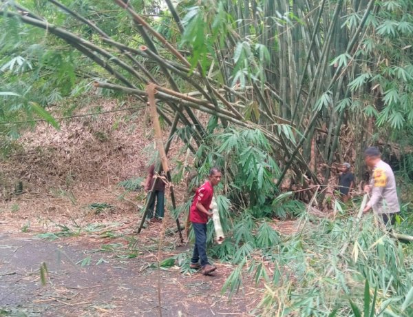 Jalur Maumere–Koting Sempat Terhambat, Respons Cepat Polsek Nelle Polres Sikka Kembalikan Kelancaran Lalu Lintas