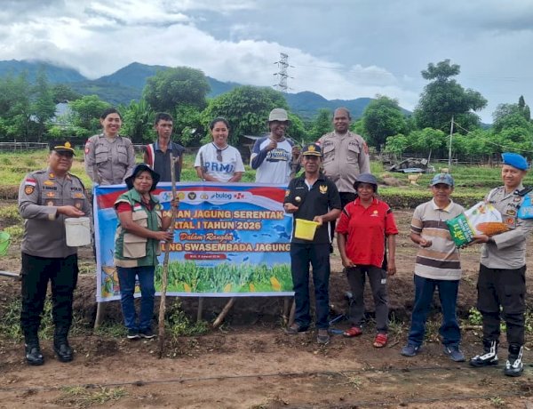 Jagung Ditanam, Harapan Dituai: Polres Sikka Dorong Kemandirian Pangan Melalui Gerakan Tanam Serentak Kuartal I 2026