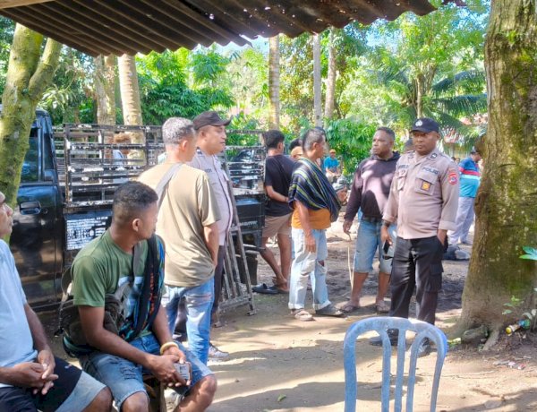 Langkah Tegas Polsek Nita Polres Sikka: Dugaan Sabung Ayam di Pasar Nita Disisir