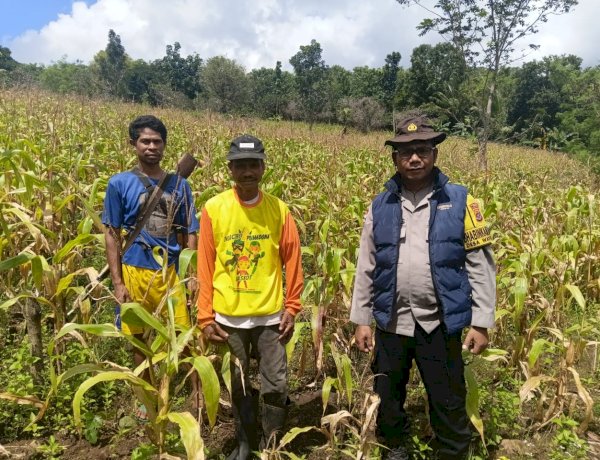 “Di Balik Seragam, Ada Kepedulian: Polres Sikka Kawal Ketahanan Pangan Hingga Pelosok Desa”