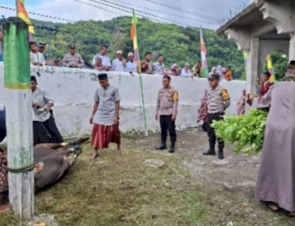 Khidmat dan Kondusif, Ribuan Jamaah Padati Sholat Idul Adha 1447 H di Kabupaten Sikka”