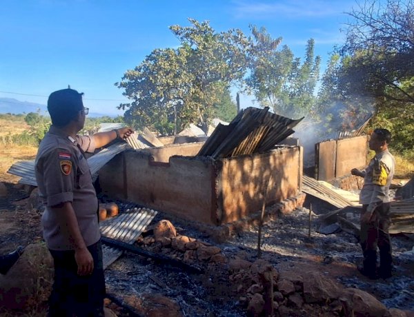 Kebakaran Hebat Saat Fajar Luluhlantakkan Rumah Warga di Waigete, Seluruh Harta Benda Hangus Dilalap Api