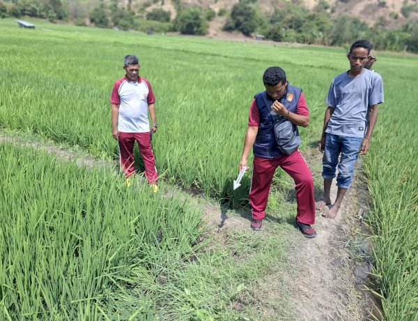 “Petani Magepanda Ditemukan Tak Bernyawa, Tim Inafis Polres Sikka Olah TKP”