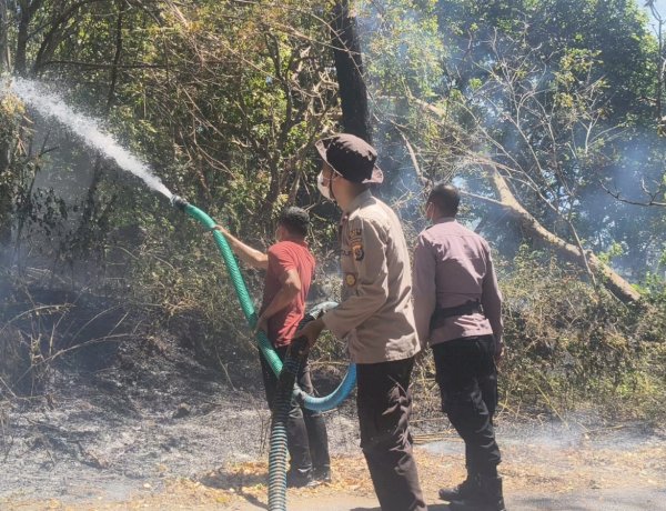 Hutan Lindung Egon Ilinmedo Terbakar, Polres Sikka dan Polsek Waigete Bergerak Cegah Api Meluas