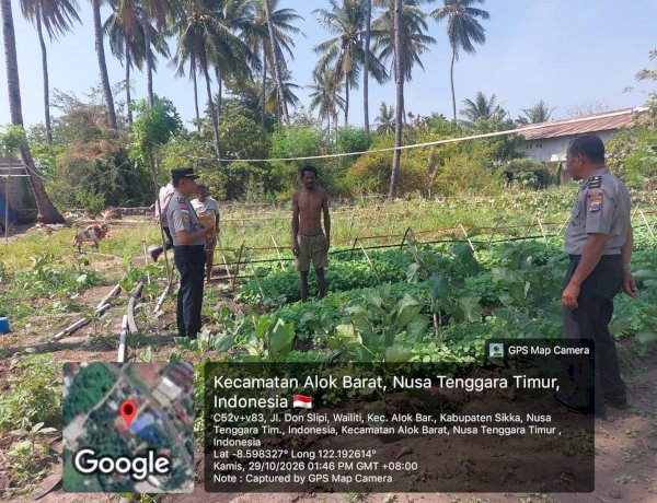 Lawan Tantangan Kemarau, Polres Sikka Dampingi Petani Wujudkan Ketahanan Pangan