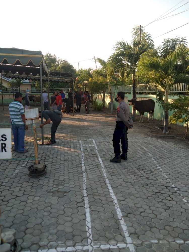 Memastikan Penerapan Protokol Kesehatan, Polres Sikka Lakukan Pengamanan Penyembelihan Hewan Kurban Di Seluruh Masjid Di Kab. Sikka