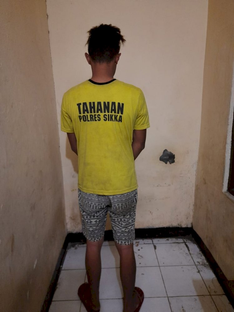 Polres Sikka Tangkap Seorang Pelaku Penyalahgunaan Narkotika Jenis Sabu