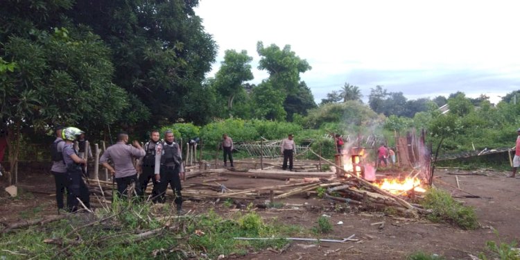 Polres Sikka Bubarkan Judi Sabung Ayam Di Kelurahan Hewuli