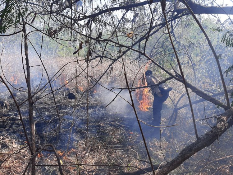 Karhutlah di Kolibuluk, Kapolsek Waigete Sigap Padamkan Sisa Api Dengan Alat Seadanya