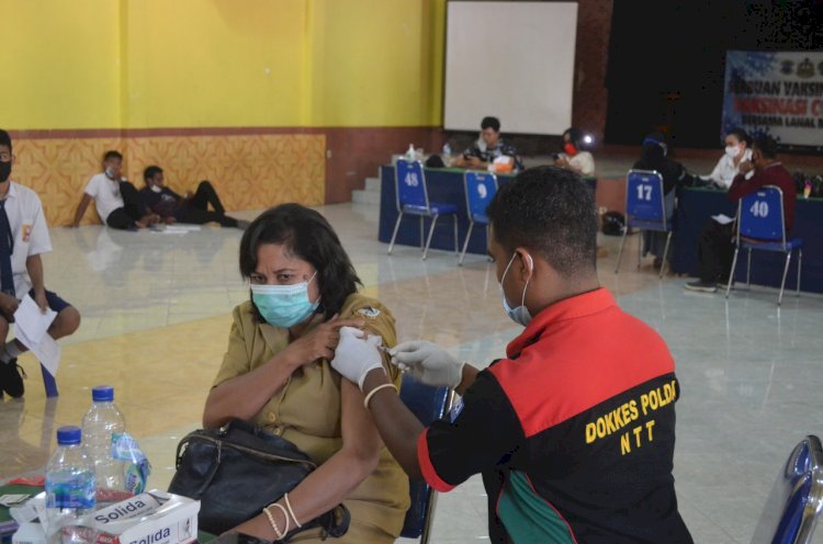 polres sikka kembali gelar vaksinasi tahap II di aula P.A TIWON