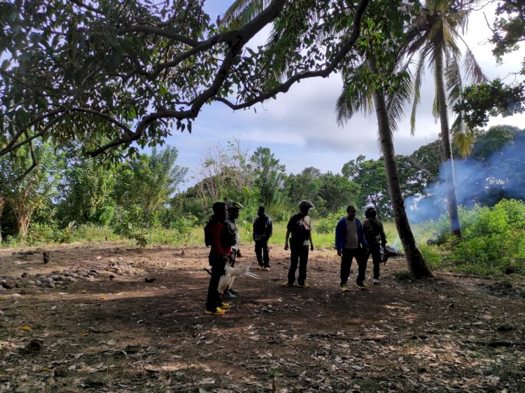 Polsek Bola Grebek Tempat Sabung Ayam Di Wilayahnya