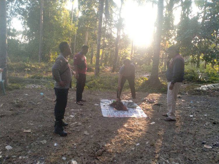 Meresahkan, Polsek Nele Grebek Judi Sabung Ayam di Kojagete, Koting.