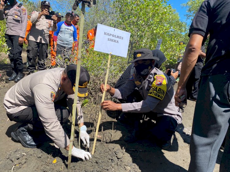 Kapolres Sikka Hadiri Kegiatan Penanaman Mangrove di Desa Reroroja