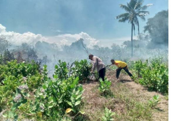 Kapolsek Kewapante Bersama Personelnya Bantu Padamkan Api Kebakaran Lahan