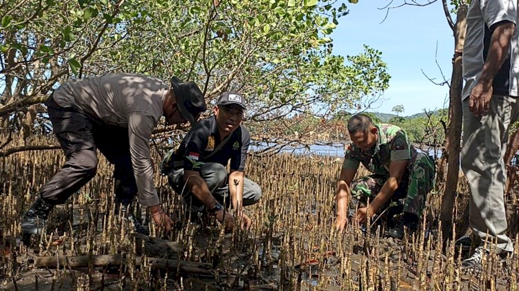 Dukung Penghijauan di Pesisir Pantai, Kapolsek Waigete Ikuti Penanaman Mangorve di Desa Watubaing dan Desa Talibura