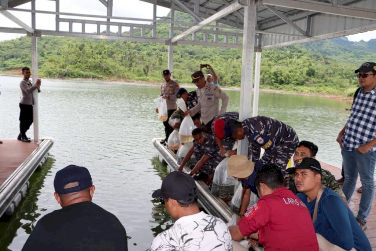 Kapolres Sikka Tebar 7000 Benih Ikan Nila bersama Forkopimda dan BUMN