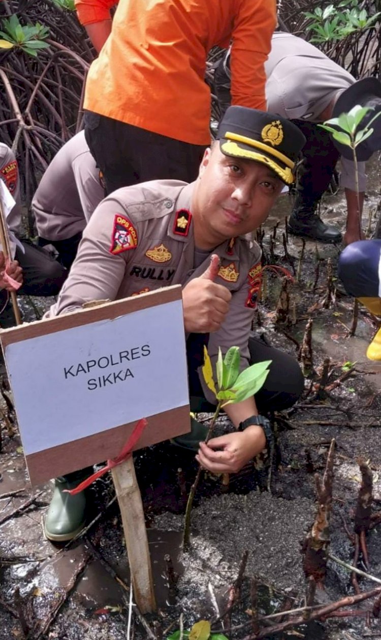 Waka Polres Sikka melaksanakan Penanaman Anakan Mangrove di Pesisir Pantai Kolisia