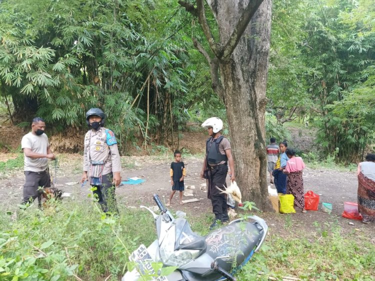 Polsek Bola Grebek Judi Sabung Ayam, Pelaku Melarikan Diri Polisi Amankan Barang Bukti