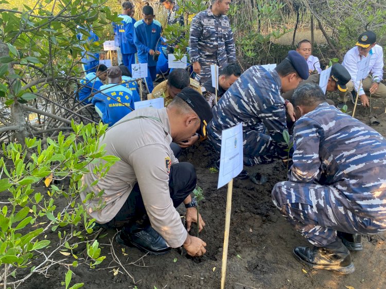 Kapolres Sikka Menghadiri Kegiatan Puncak Penanaman Mangrove Nasional  Serentak Jajaran TNI di Seluruh Indonesia Oleh Presiden RI