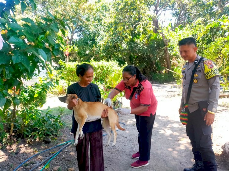 Antisipasi Rabies, Bhabinkamtibmas Desa Koting A Dampingi Vaksinator Dinas Peternakan
