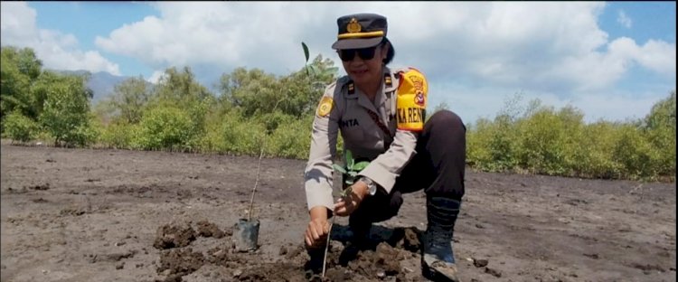 Bag SDM Polres Sikka dan Polsek Jajaran Laksanakan Penghijauan dalam rangka Penanaman Sepuluh Juta Pohon bersama Polri