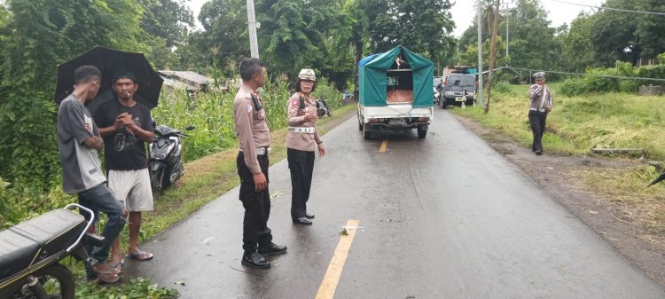 Anggota Polsek Waigete Sigap Bersama Warga Bersihkan Pohon Tumbang Akibat Cuaca Ekstrem Yang Halangi Jalan Raya Maumere-Larantuka