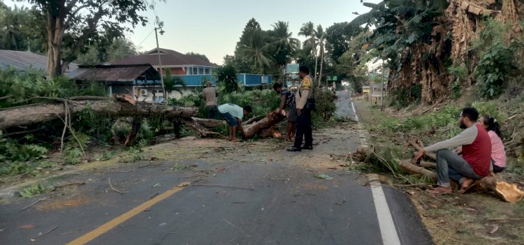 PATROLI DIALOGIS GUNA MELAKUKAN PENGATURAN LALIN & MEMBANTU WARGA MEMBERSIHKAN JALAN AKIBAT POHON TUMBANG