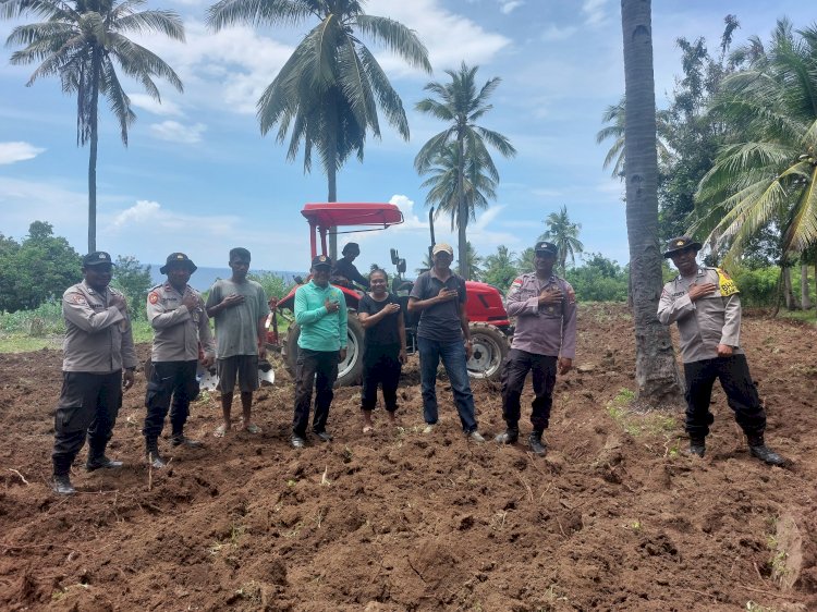 Polsek Bola dan Dinas Pertanian Bersinergi Siapkan Lahan untuk Penanaman Jagung 1 Juta Hektar