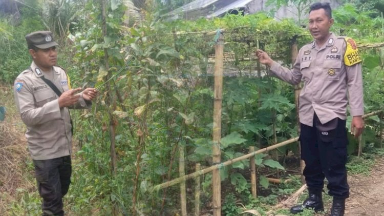 Pembinaan Kelompok Tani : Polres Sikka Dukung Ketahanan Pangan