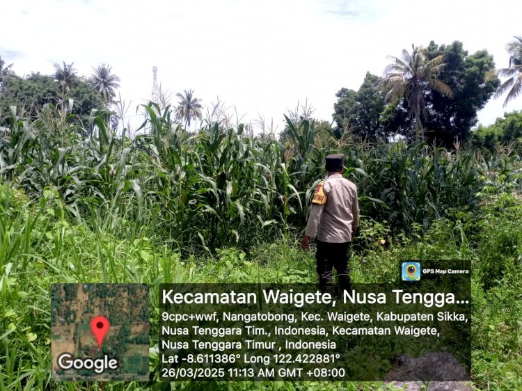 Polres Sikka Apresiasi Peran Bhabinkamtibmas dalam Mendukung Ketahanan Pangan