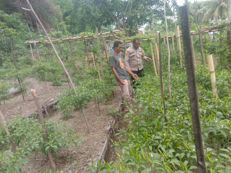 BHABINKAMTIBMAS DESA SIKKA DORONG PEMANFAATAN PEKARANGAN UNTUK KETAHANAN PANGAN