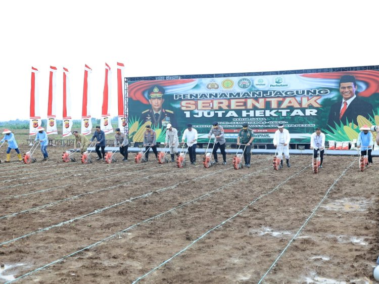 Kementan dan Polri Mantapkan Sinergi Menuju Swasembada Jagung 2025, Targetkan 4 Juta Ton Produksi Tambahan