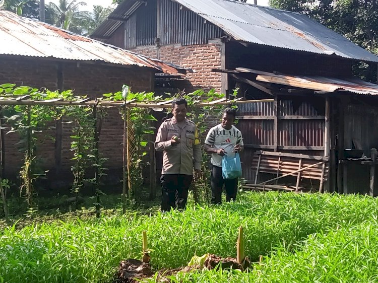 “Bersama Petani, Polres Sikka Bangun Ketahanan Pangan Dari Pekarangan”
