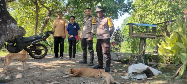 Gerak Cepat Personil Bhabinkamtibmas Palue Dalam Upaya Pencegahan Rabies di kecamatan Palue, Kabupaten Sikka
