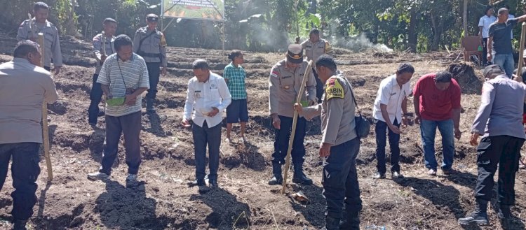 Dukung Ketahanan Pangan, Polres Sikka Gencarkan Penanaman Jagung Kuartal III