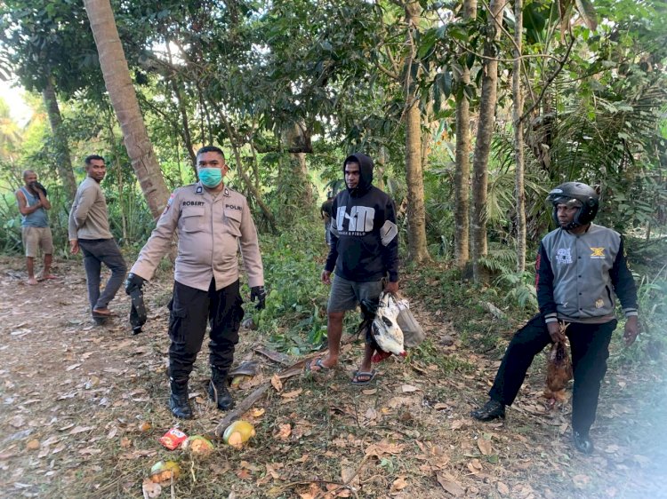 Respons Cepat Polsek Nita Bongkar Arena Sabung Ayam di Kebun Warga