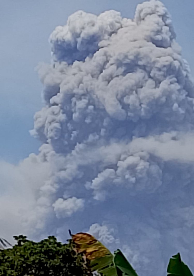 GUNUNG LEWOTOBI LAKI-LAKI KEMBALI ERUPSI, WARGA DIMINTA WASPADA