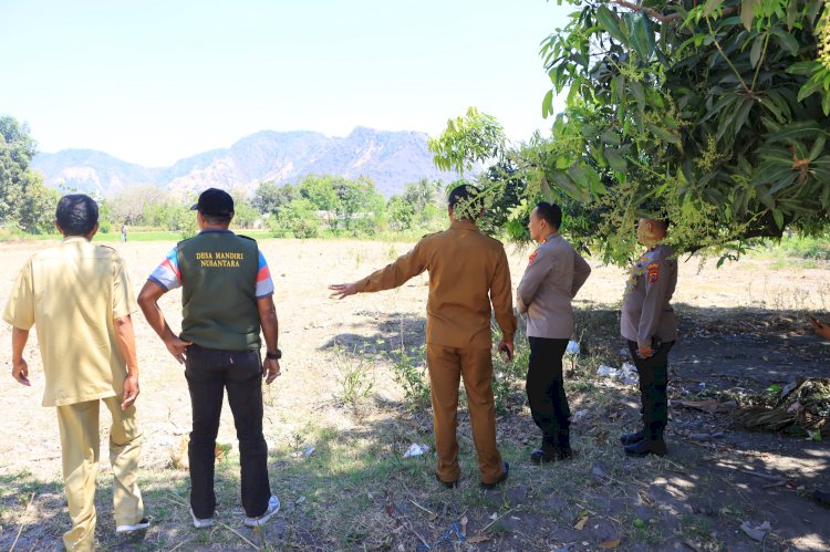 Kapolres Sikka Polda NTT Bersama Kadis Pertanian Kab.Sikka Tinjau Lokasi Penanaman Jagung