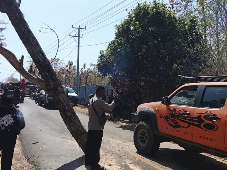 “Cepat Tanggap, Polisi dan PLN Bersihkan Pohon Tumbang yang Halangi Jalan Trans Maumere–Larantuka”