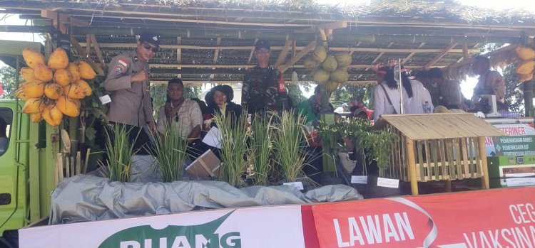 Sinergi Hebat: Bhabinkamtibmas dan Babinsa Meriahkan Pawai Karnaval Bersama Dinas Pertanian Sikka Dukung Ketahanan Pangan Nasional