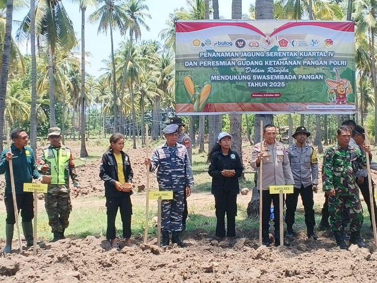 KAPOLRES SIKKA POLDA NTT LAKSANAKAN PENANAMAN JAGUNG SERENTAK KWARTAL IV SECARA SIMBOLIS DALAM RANGKA MENDUKUNG KETAHANAN PANGAN NASIONAL 2025