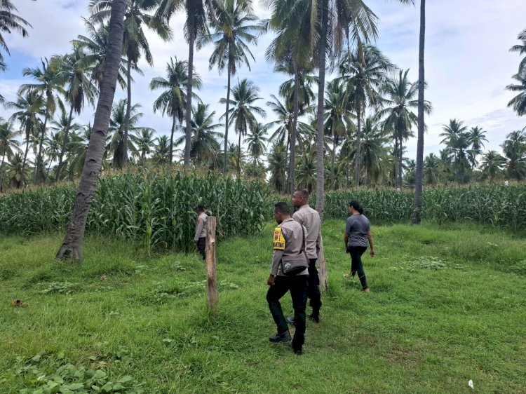 Pastikan Agenda Nasional Berjalan Optimal, Polres Sikka Polda NTT Lakukan Pengecekan Lokasi Panen Raya