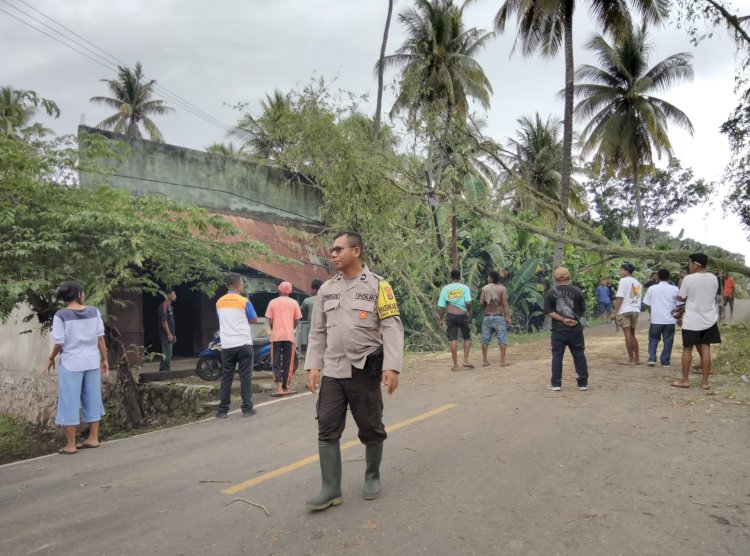 Hujan Ekstrem Landa Talibura Sikka, Polisi dan Warga Sigap Buka Kembali Jalur Trans Maumere–Larantuka