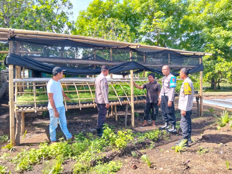 Mengawal Harapan Petani, Polres Sikka Polda NTT Dorong Ketahanan Pangan Berbasis Desa