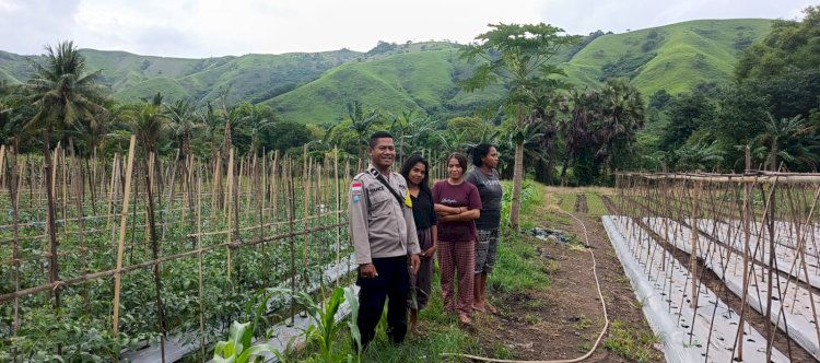 Kelompok Tani Wanita Bina Keluarga, Pilar Ketahanan Pangan dari Pekarangan Desa