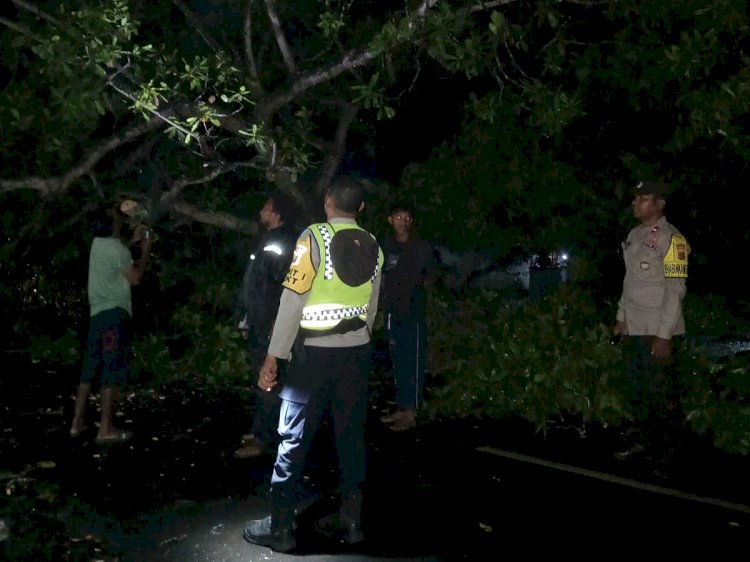 Hujan, Gelap, dan Pohon Tumbang: Aksi Cepat Polsek Waigete Polres Sikka Selamatkan Jalur Maumere–Larantuka