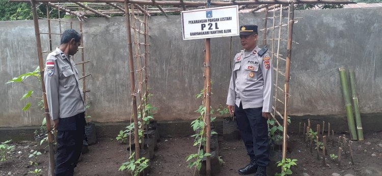 Dari Mako ke Lahan Produktif: Polsek Alok Polres Sikka Polda NTT Gerakkan Ketahanan Pangan Nasional