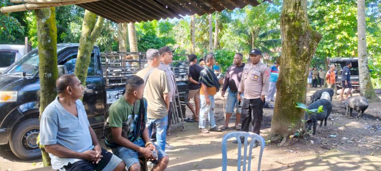 Langkah Tegas Polsek Nita Polres Sikka: Dugaan Sabung Ayam di Pasar Nita Disisir