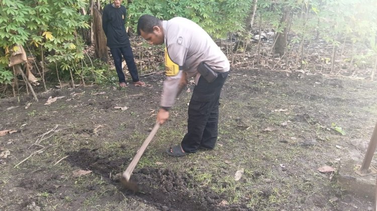 “Mengolah Lahan, Menyemai Masa Depan: Aksi Nyata Polres Sikka dan Generasi Muda Dorong Swasembada Pangan”